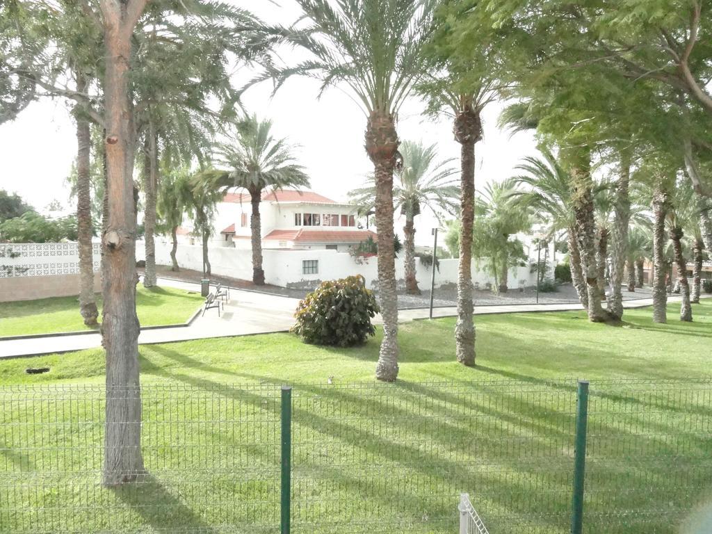 Apartment Virginia Playa de las Americas (Tenerife) Exterior foto