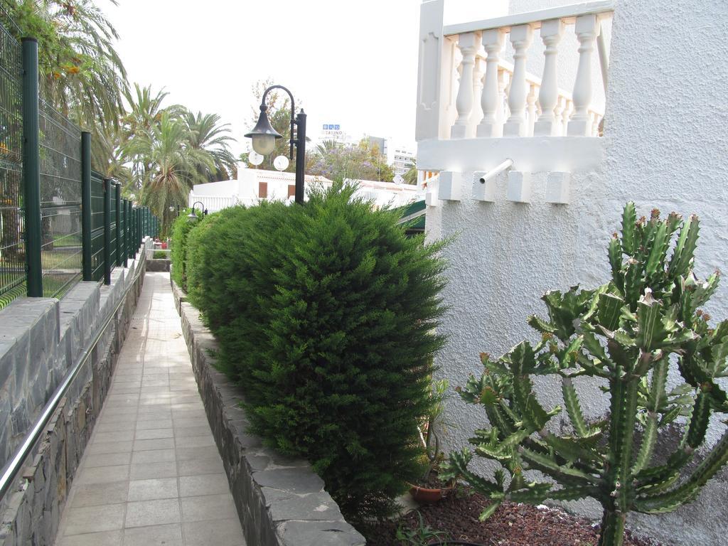 Apartment Virginia Playa de las Americas (Tenerife) Quarto foto
